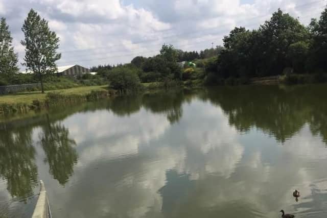 Clouds reflected in a Corby pond