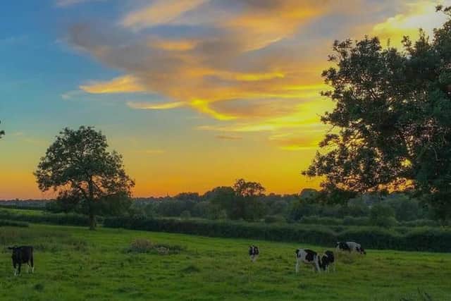 View towards Kettering from Warkton