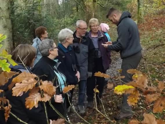 Naturalist Russell Hedley explains how recognise edible fungi