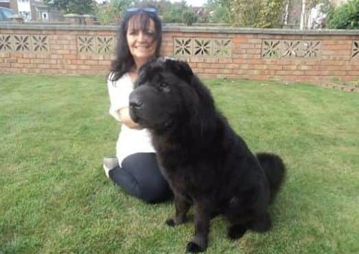 Lainy, who started the rescue and re-homing service