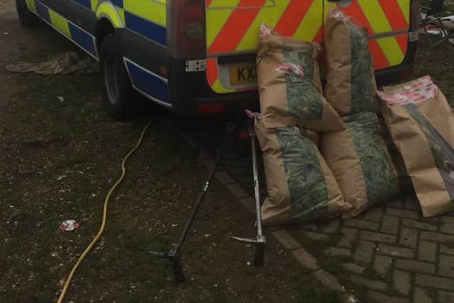 Some of the cannabis found at the site. Credit: Northants Police NNL-180131-165845005