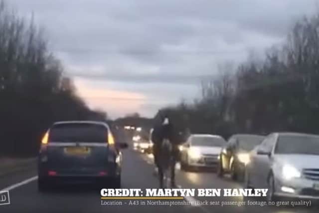 Footage shows the horse trotting along the A43 in Northants. Pic: You Tube/Martyn Ben Hanley