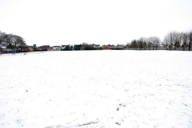 Snow file pic