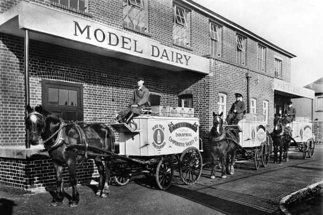 Delivering your milk with style, the Kettering Co-op Model Dairy in the early 1900s