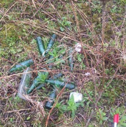 A number of glass bottles were found by the River Nene in Wellingborough