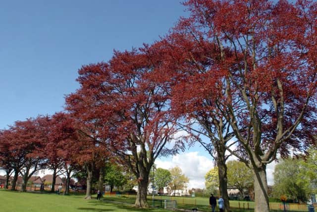 Bassett's Park.