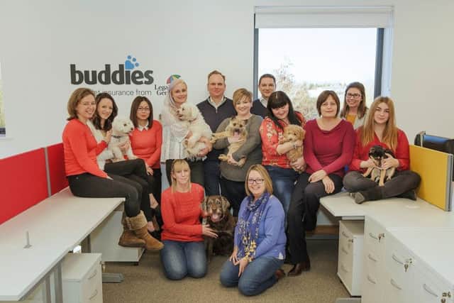 Staff at Buddies Pet Insurance in Corby with their dogs