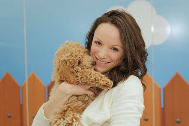 Staff at Buddies Pet Insurance in Corby will be taking their dogs to work on Friday (June 22)