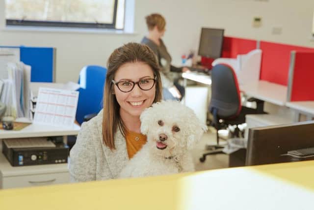 Buddies Pet Insurance is supporting Bring Your Dog To Work day
