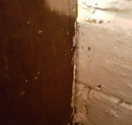 Rats have chewed through the skirting board in this house in Stephenson Way, Corby. NNL-180622-120931005