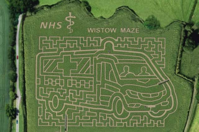 Wistow Maze