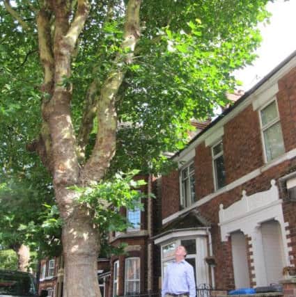 Cllr Scrimshaw under one of the overhanging trees.