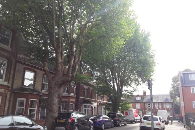 Overhanging trees.