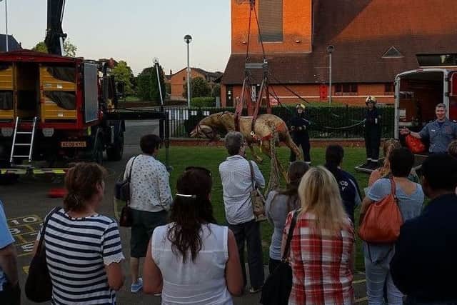 An animal rescue demonstration in Wellingborough