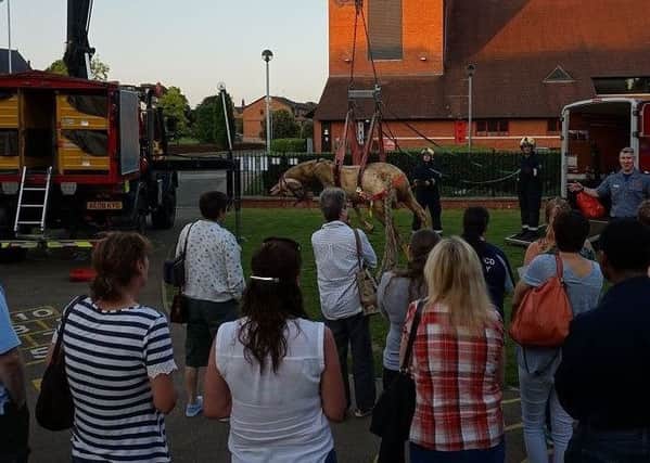 An animal rescue demonstration in Wellingborough