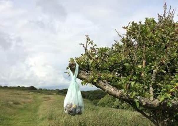 Dog owners are being urged to 'bag it and bin it' rather than doing this