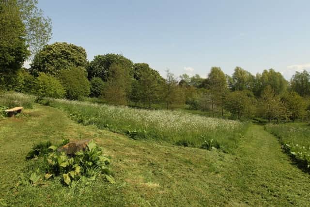 Desborough, Pocket Park,
Monday, 17 May 2010