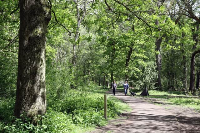 Corby's rough sleepers are based in the town's woodland