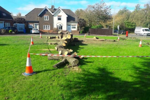 The tree has been chopped down without neighbours being warned. NNL-181019-151555005