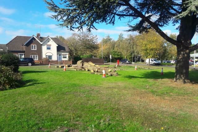 The tree, next to the second tree which has not been felled. NNL-181019-151543005