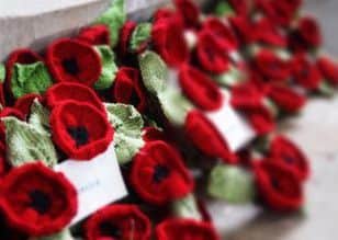 Part of the Poppy project