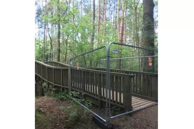The Forestry Commission has announced it will save the Salcey Forest Walkway and reconstruct its lower routes.