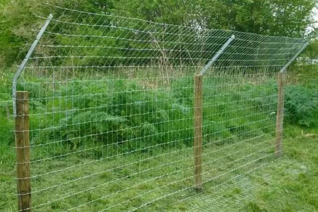 The type of fencing being proposed