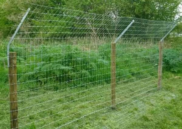 The type of fencing being proposed