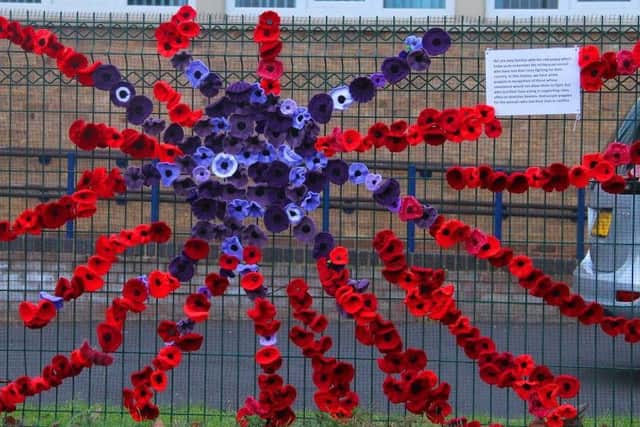 The poppies on display