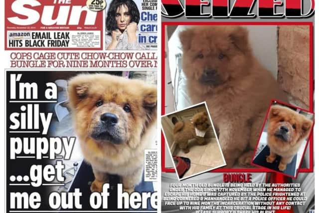 Bungle was looking at nine months in puppy lock up under the Dangerous Dogs Act, but now he has been set free.
