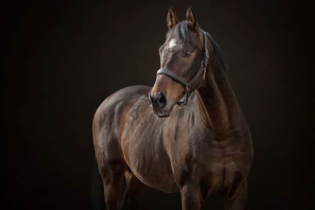 Deanne's winning image.