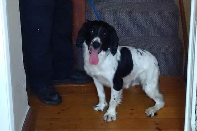 PD Billy help bust hundreds of criminals in Northamptonshire during his career.