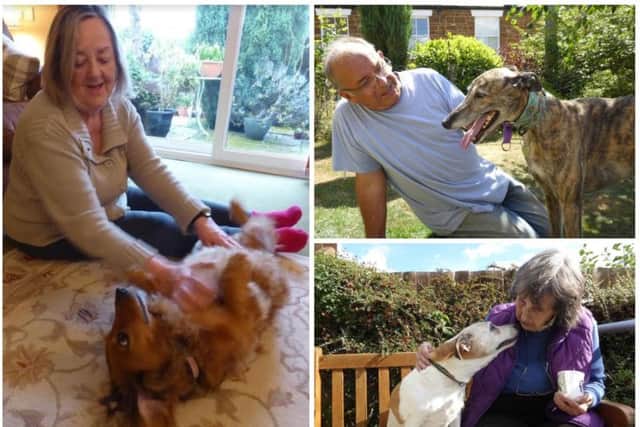 Some Barking Mad dog hosts share some time with their guests