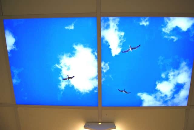One of the skylights. NNL-190402-164323005