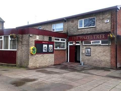 The Hazel Tree