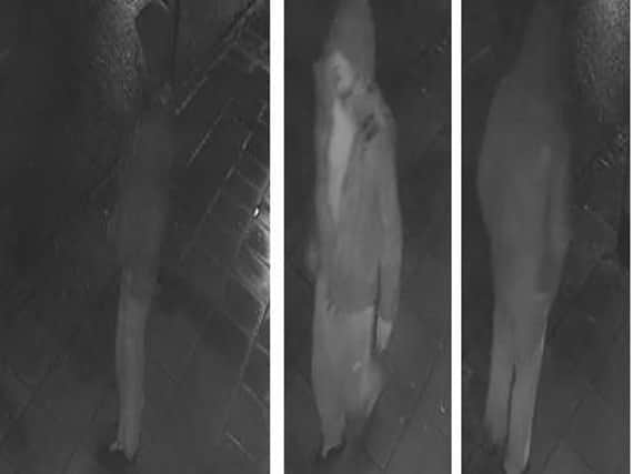 Police have released images from CCTV footage