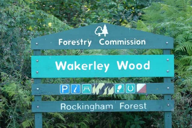 Wakerley Wood.