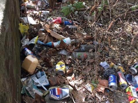Some of the rubbish pictured during the litter pick