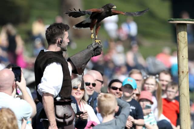 THE FALCONERS QUEST - WARWICK CASTLE - WARWICKSHIRE 
Picture by Adam Fradgley
Pictures from the first public performance of "The Falconers Quest" at Warwick Castle in Warwickshire - Harris Hawk
FOR FURTHER DETAILS CONTACT:
E. lucy.rawlings@merlinentertainments.biz
T. 01926 406 661 WeT