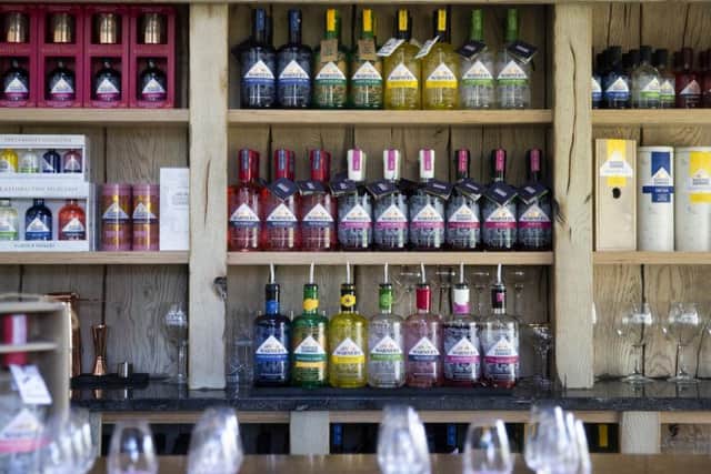 The full range of Warner's gins (Picture: Kirsty Edmonds)