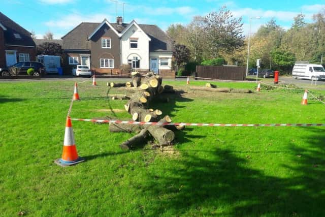 Legion Crescent residents were left stunned and angry when the tree was felled in October 2018