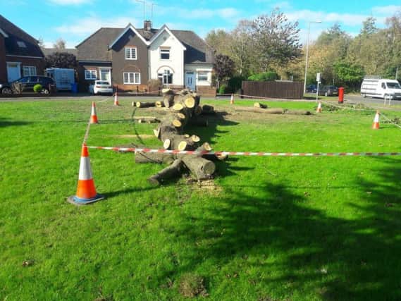 Legion Crescent residents were left stunned and angry when the tree was felled in October 2018