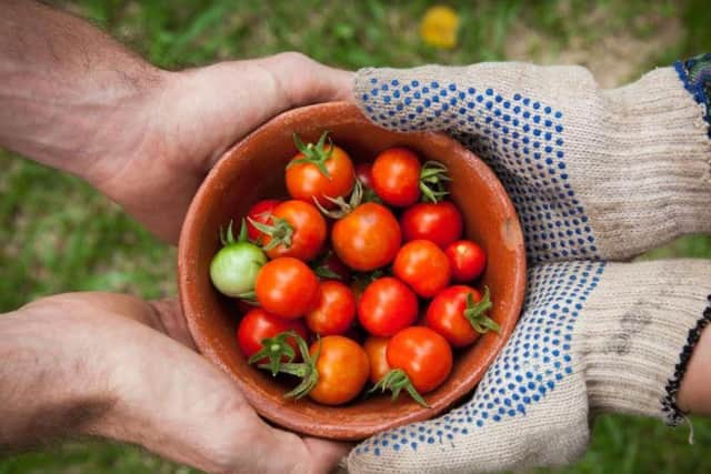 The community feast will feed hundreds of people, including those living in food poverty.