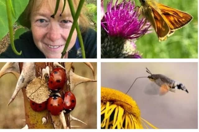 Top left. Rushden's Rachel Dymott, editor of the new Explorations nature magazine, pictured behind an Indian bean tree at Batsford Arboretum in Gloucestershire, with some of the pictures that feature in the first edition of the magazine. NNL-190406-162141005