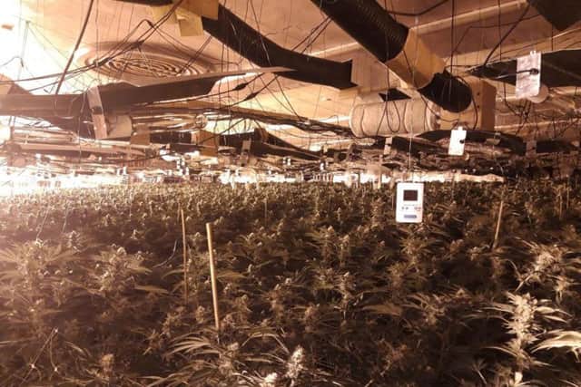 The plants were across two rooms.