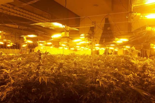 The factory had a "sophisticated" hydroponics system.