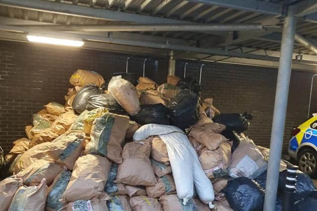The pile of cannabis will eventually be incinerated