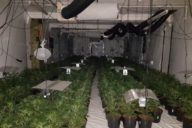 The drugs had the potential to be worth 1m. Credit: EN Police Team