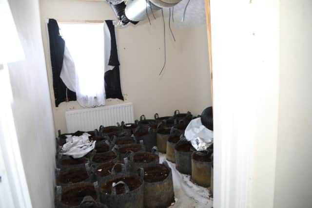 The inside of the cannabis factory in Pollard Street, Kettering