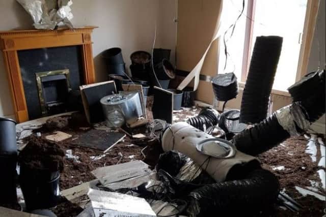The inside of the Rushden cannabis house